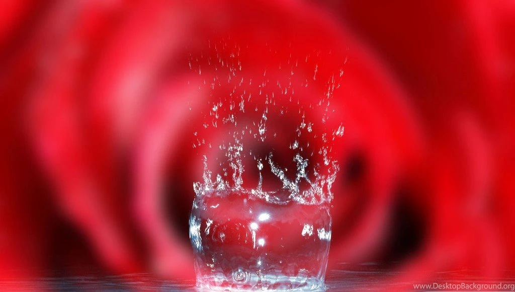 Latest Animated Colorful Different Wallpapers