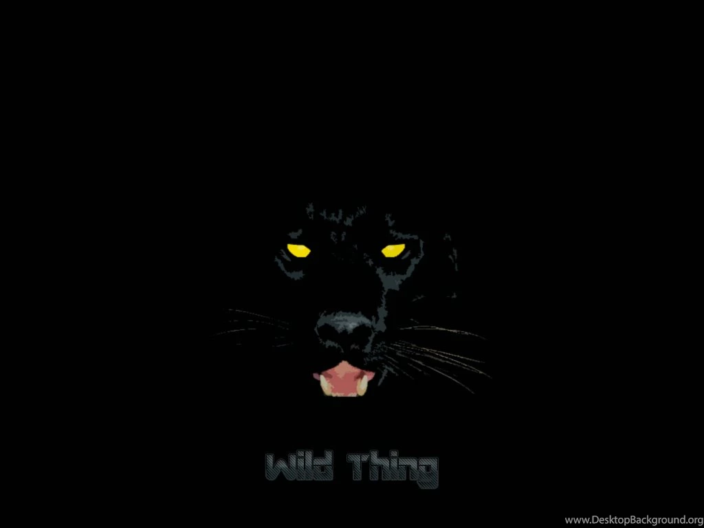 black puma animal wallpaper