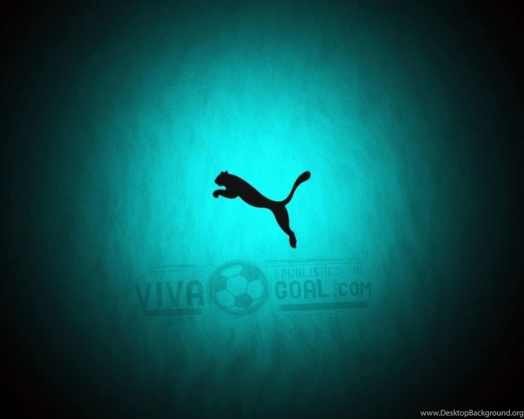Black Puma Wallpapers