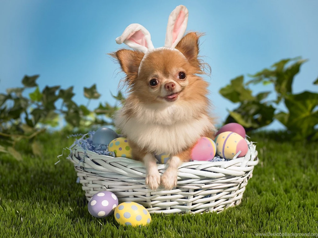 32 BEAUTIFUL EASTER WALLPAPER FREE TO DOWNLOAD..... Godfather Style