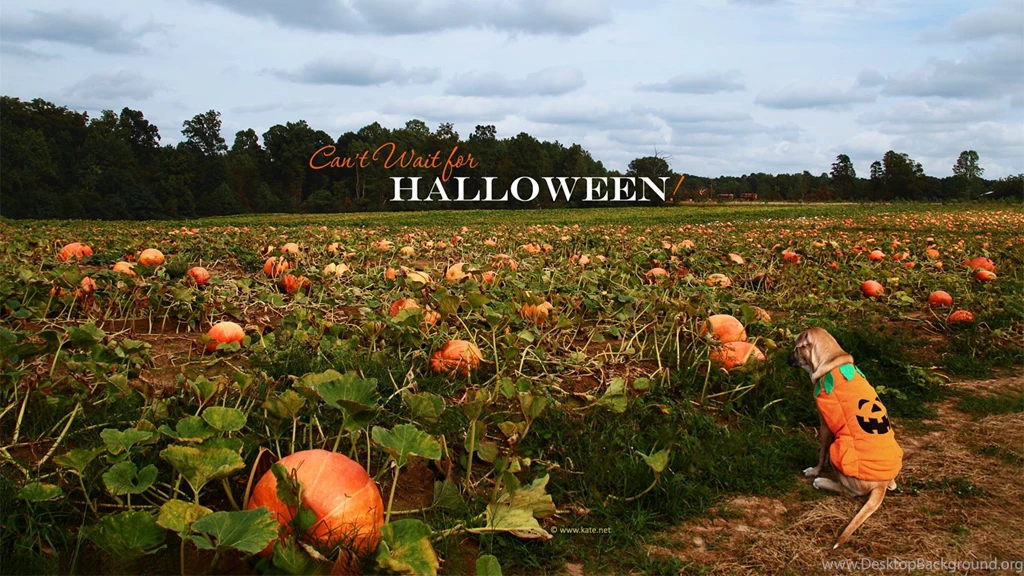 Halloween Wallpapers, Halloween Desktop Backgrounds On Kate.net ...