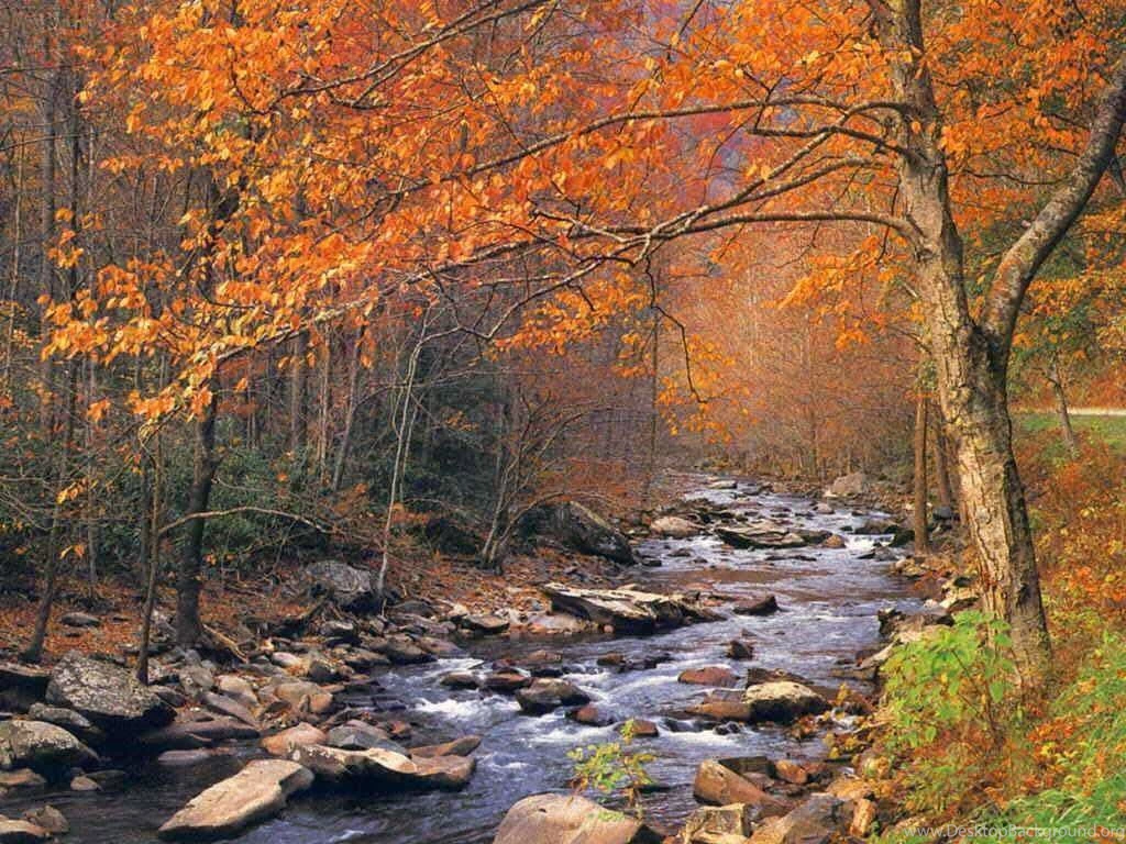 Desktop Wallpapers Fall