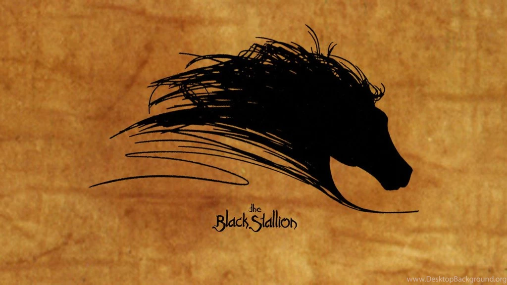 The Black Stallion   Cass Ole Wallpapers By Curtopex On DeviantArt