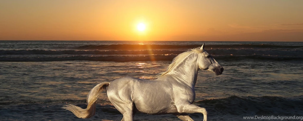 Download Wallpapers 2560x1024 Nature, Stallion, Horse, Animals ...
