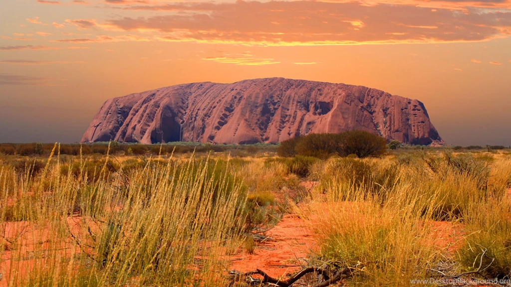 Home » Wayoutback Australian Safaris