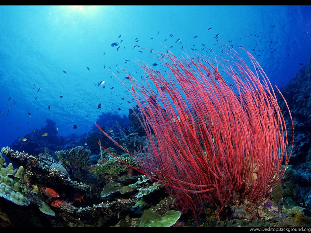 30 Sea Photos Wallpapers Pictures