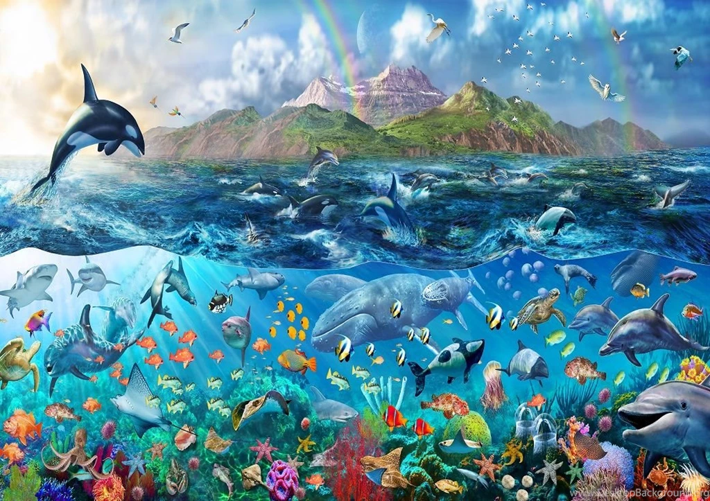 Tropical Sealife, Ocean Fishes Wall Mural Decor Photo Wallpapers
