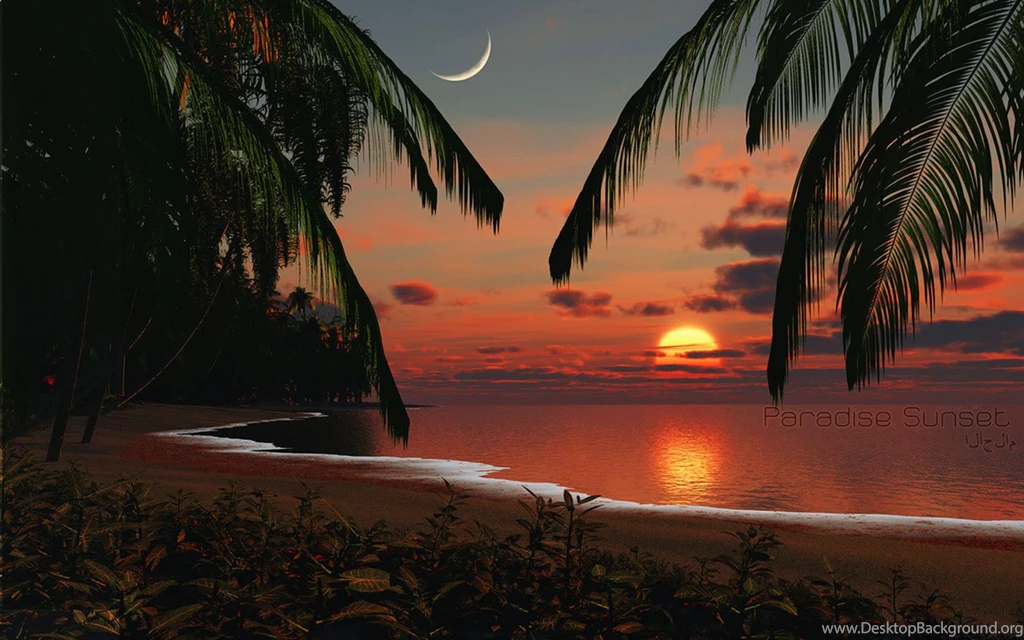 Tropical Island Sunset Wallpaper.