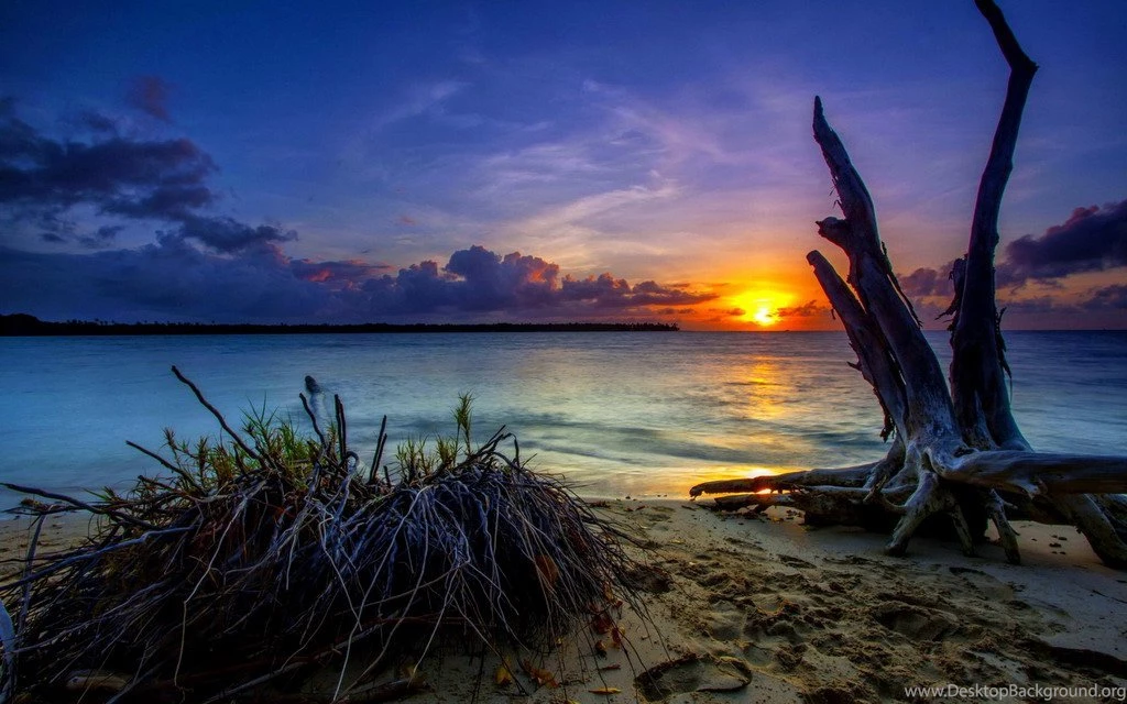 My Sunset Lite Live Wallpapers For Android Android Live Wallpapers ...