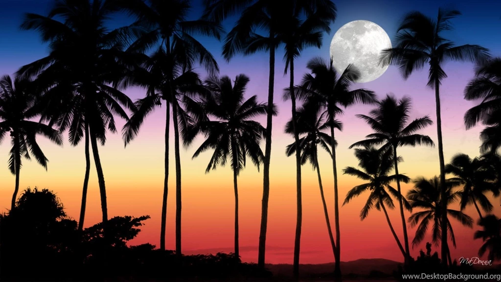 Tropical Sunset Collection (36+)