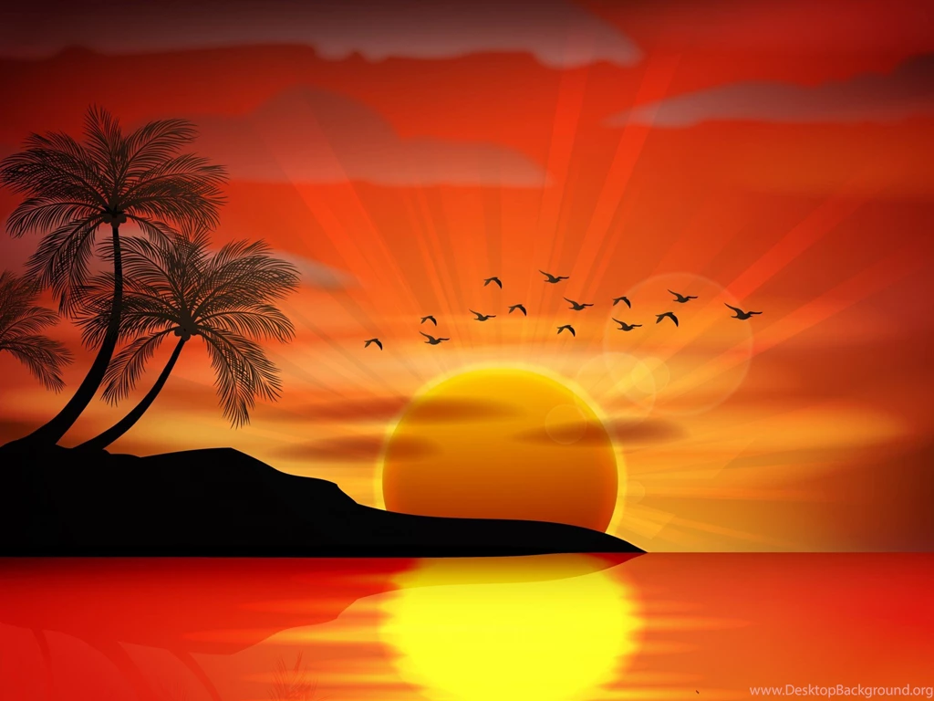 Sunset Sea Paradise Tropical Island Palms Silhouette Birds Sea ...