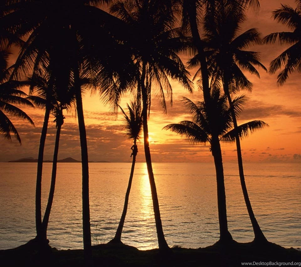 Tropical Island Sunset Flikie Wallpapers