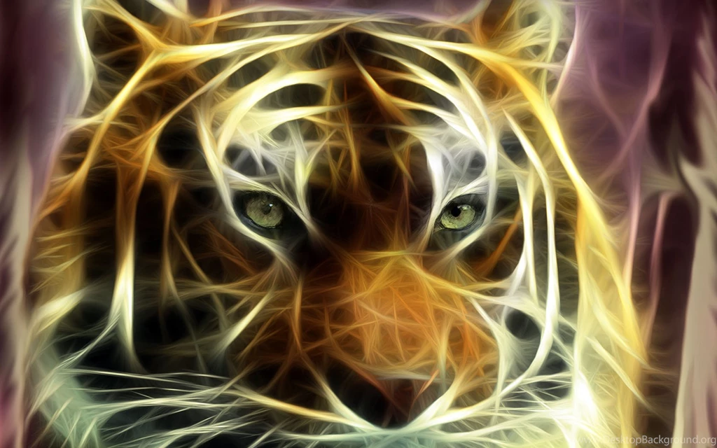 Tiger Wallpapers Free Download Widescreen HD Wallpapers