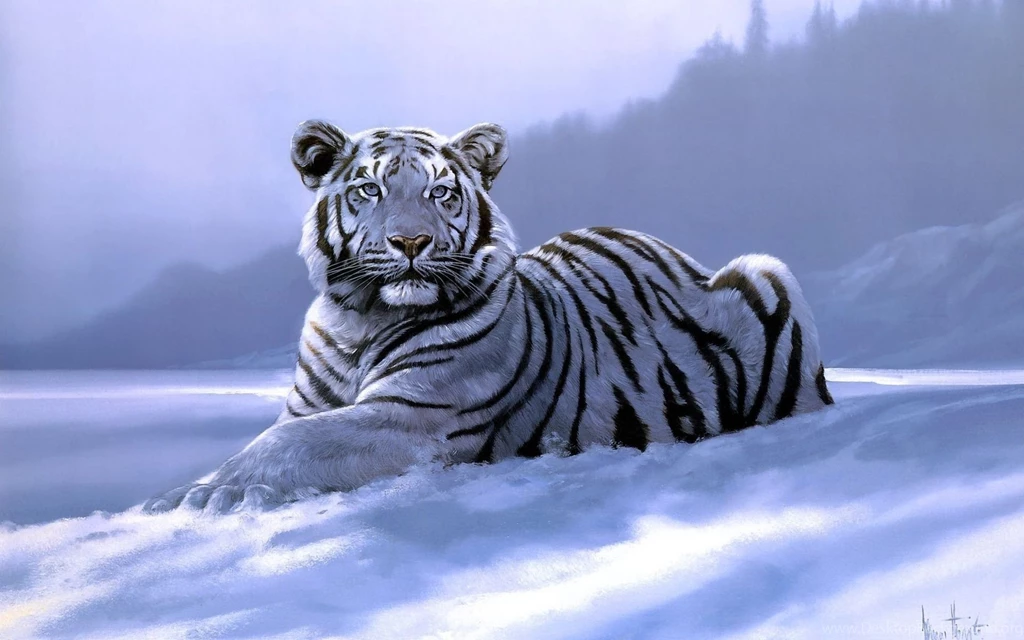 Free White Tiger Wallpapers Wallpapers Cave