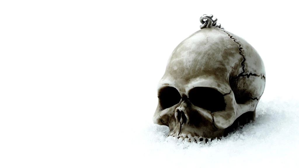 Skull Wallpapers 3D