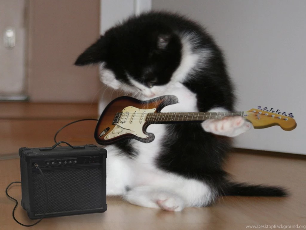 1024x768 Guitar Hero Desktop PC And Mac Wallpapers