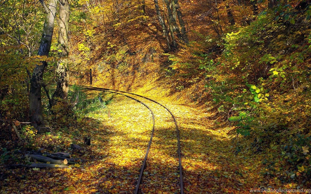 Fall Hd Wallpapers ›› Page 0