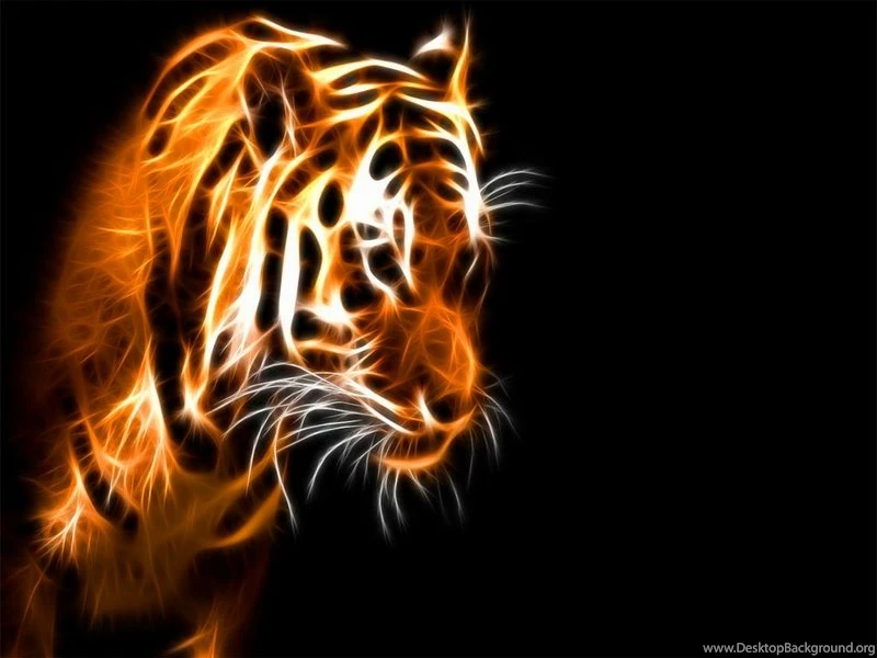 Animals,tigers Animals Tigers Fractalius Black Backgrounds 1024x768 ...