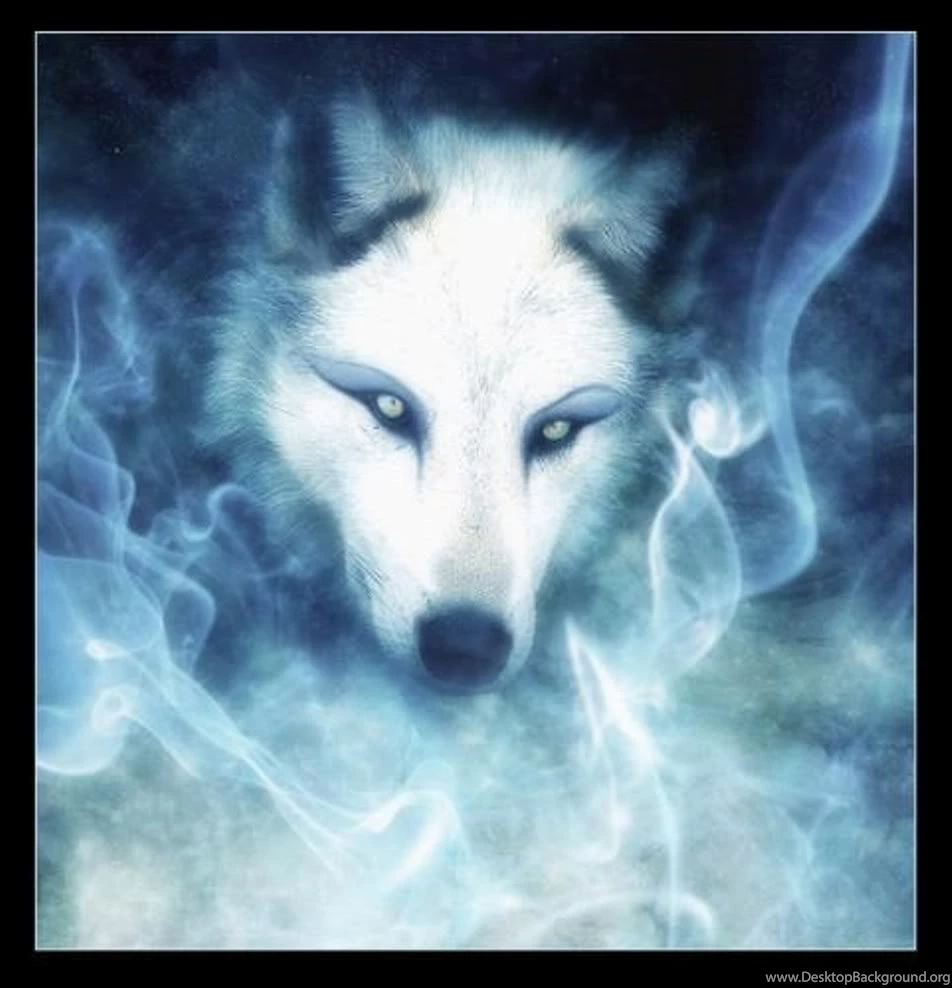 Wolf Backgrounds 1 Photo By WolfStar69_2009