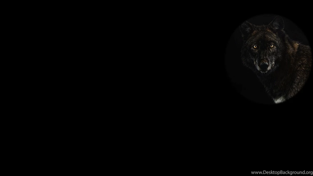 Image Guise Of The Wolf Backgrounds Black Wolf.jpg Steam ...