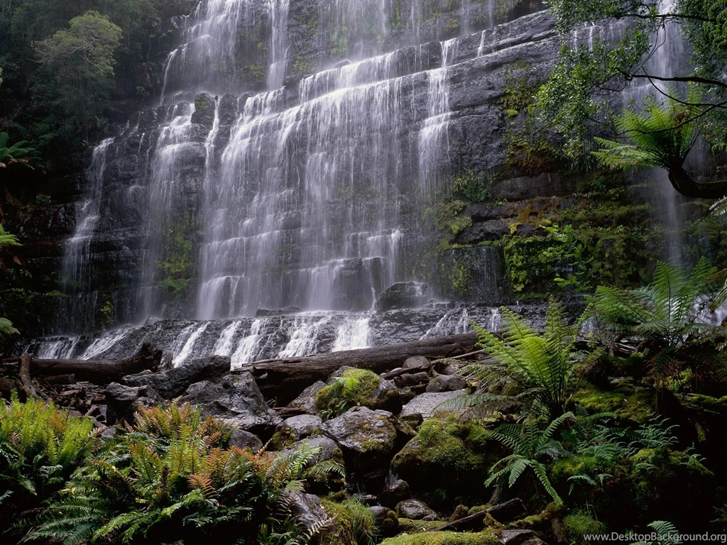 Tasmania – A Perfect Place For Holidays