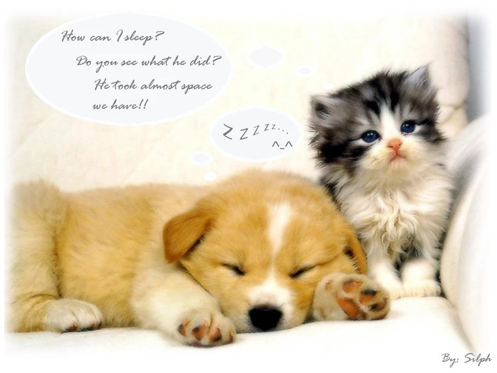 52 Baby Animals Cute Cartoon Wallpapers With 1024x768 Resolution ...