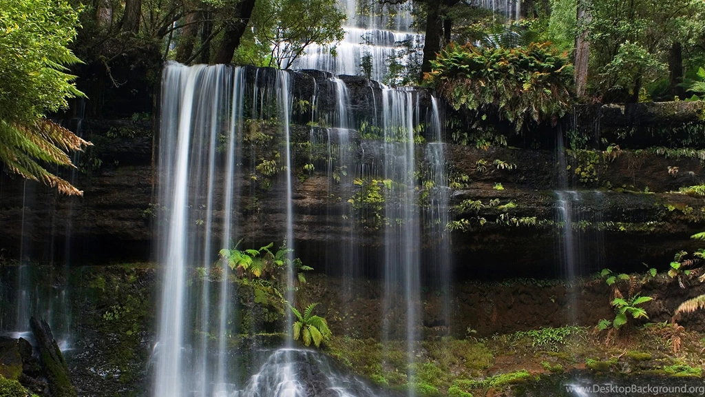 Russell Falls, Tasmania, Australia 1920×1080 HD Travel Nature ...