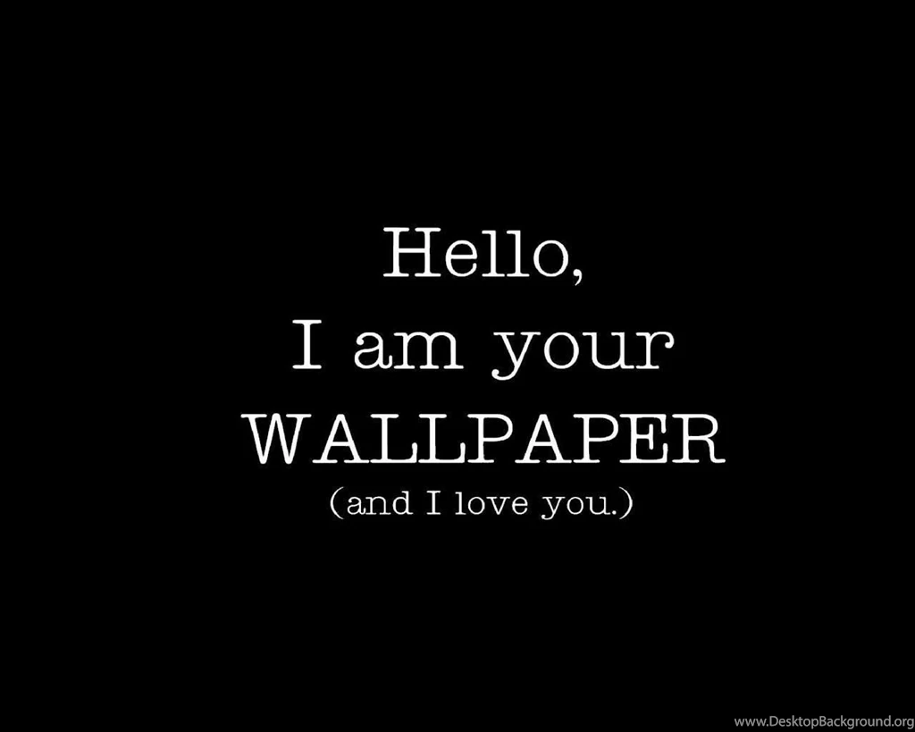 Awesome Funny Wallpapers   Wallpapers Cave
