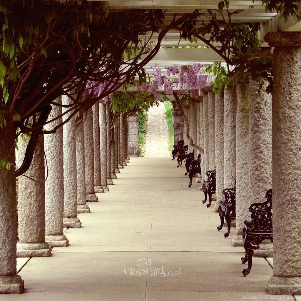 Wallpapers Bible Verse Nature Christian For Mobile Free 1024x1024 ...