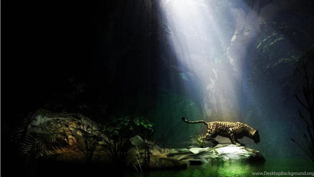 Best Free Wallpapers Sites Wallpapers High Definition