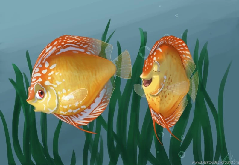 DeviantArt: More Like Discus Fish By Danke kitten