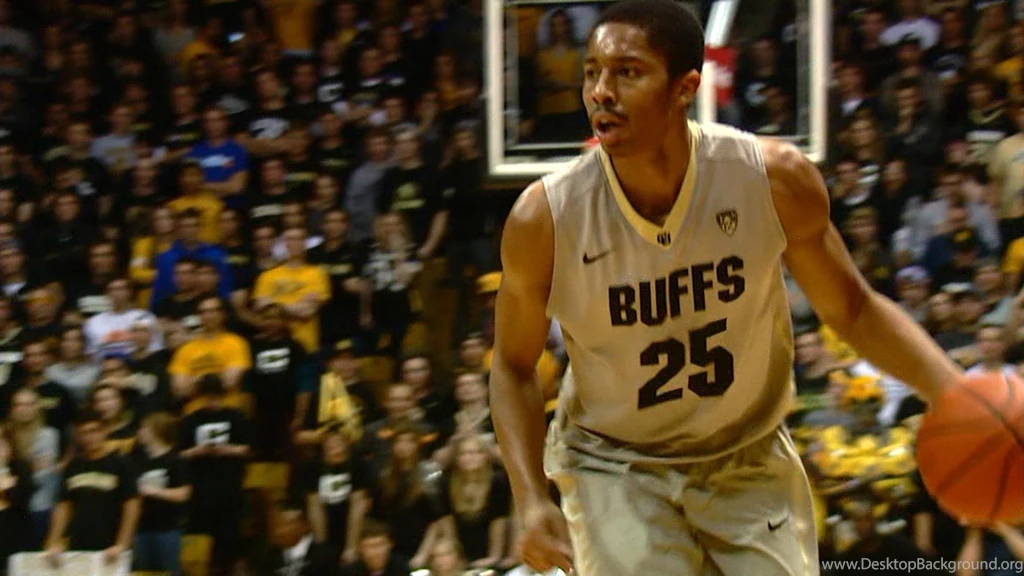 DU's Joe Scott Thinks CU's Spencer Dinwiddie Has The Talent For ...