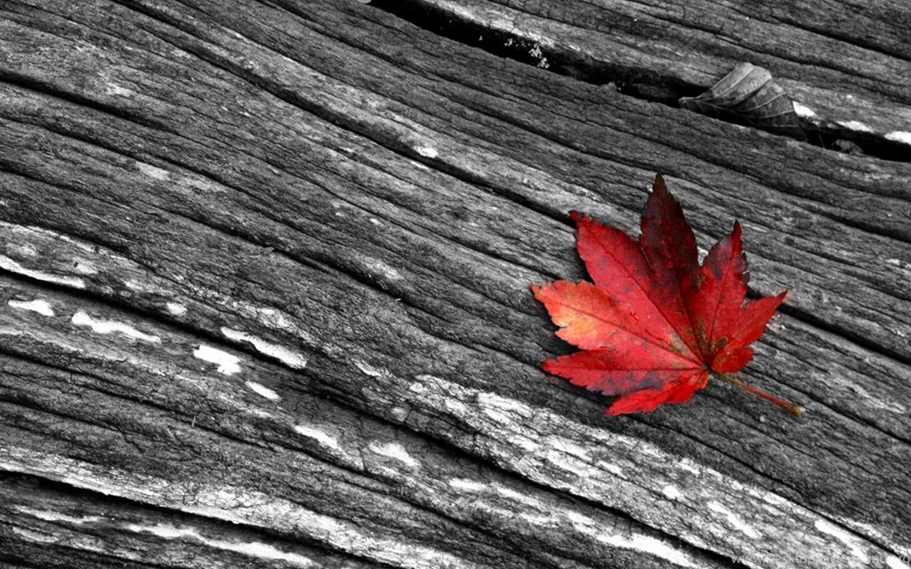 Hd Red White Wallpapers Designs 3d Hd Pictures.