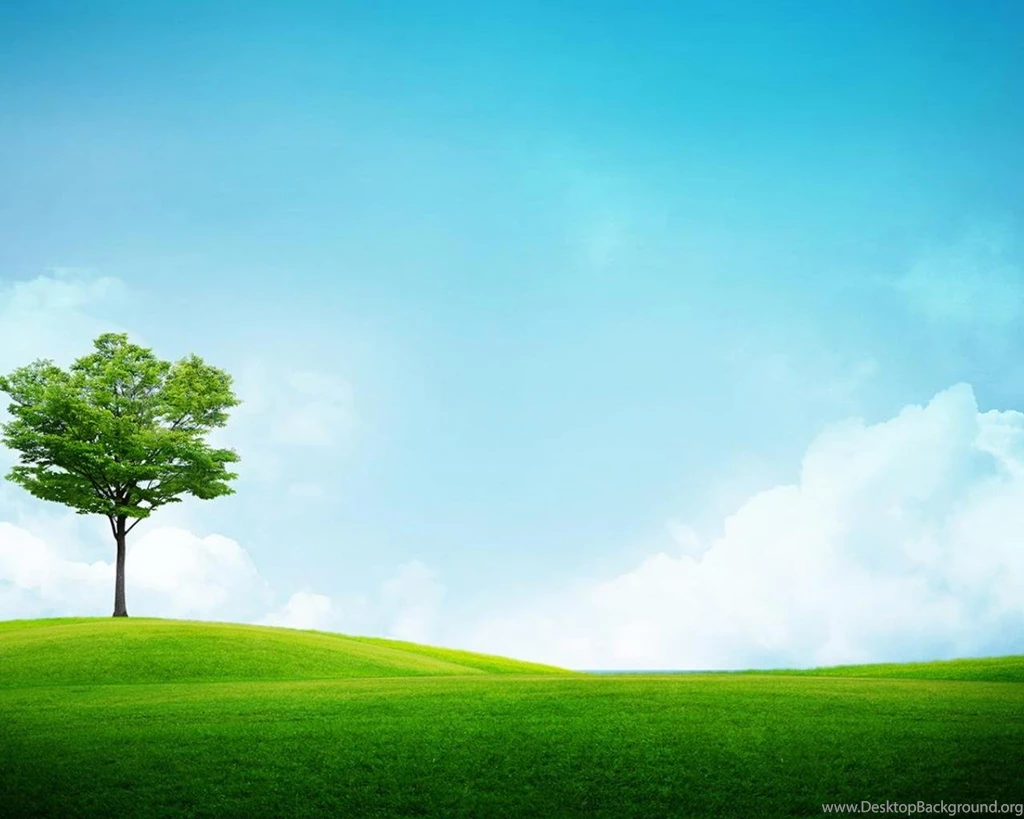 Clear Look Wallpapers (