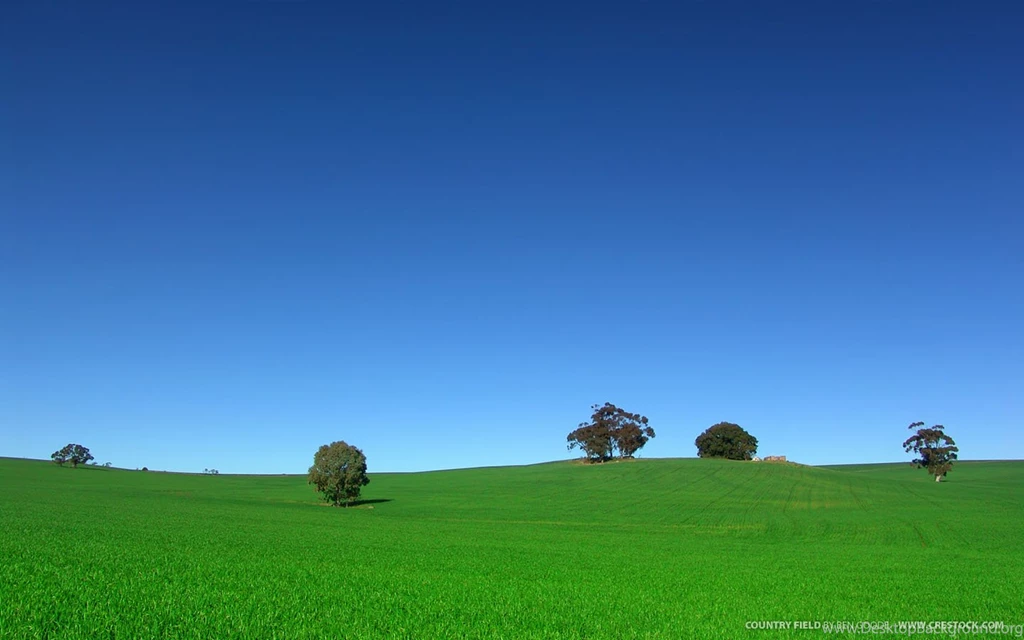13 Fantastic Free Wallpaper Images
