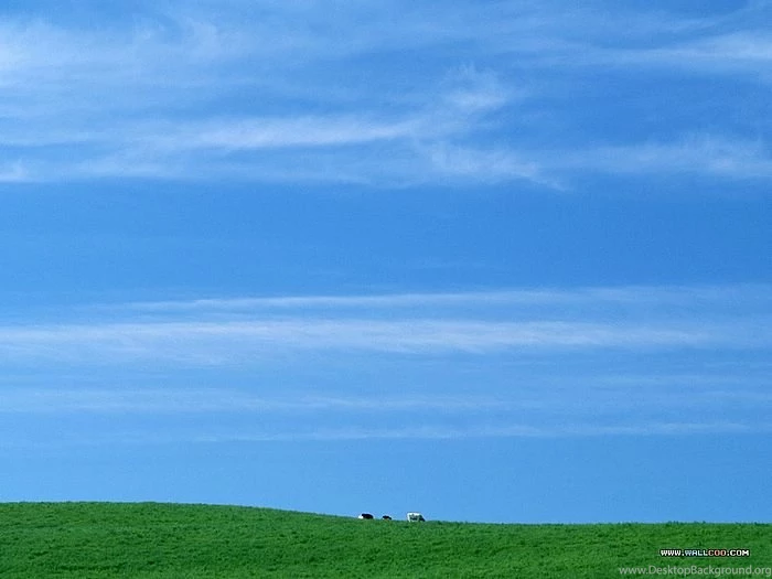 Vast Country Field, Blue Sky, White Cloud Perfect Country Field ...