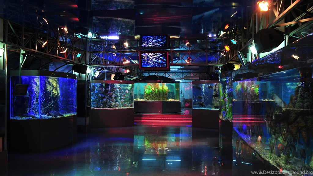 Hd Aquarium 09 Photos Of Hd Aquarium Backgrounds For Your PC ...