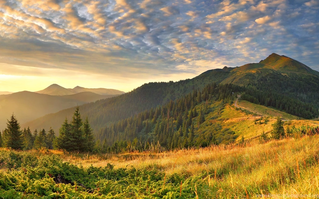 Mountain Top Fields Landscape