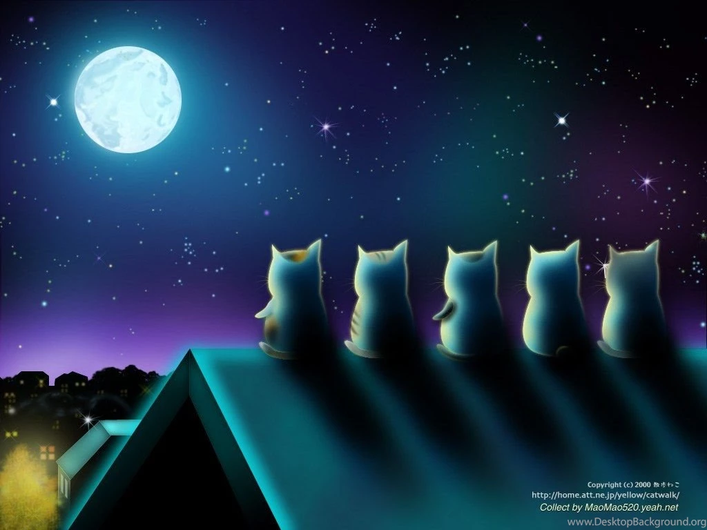 Cartoon Cat Wallpapers Wallpapers Cave