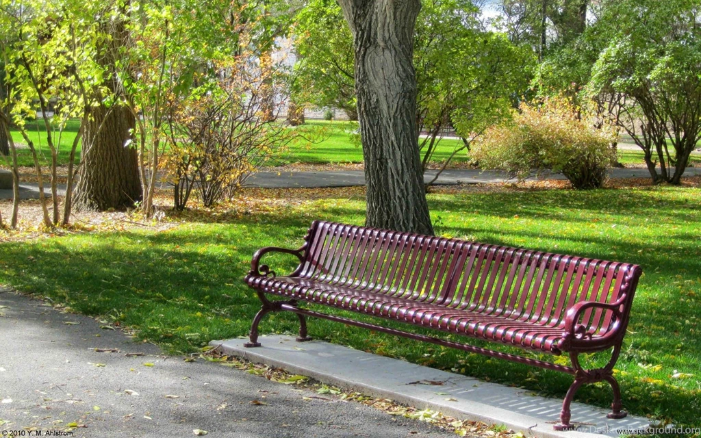 Free Desktop Wallpapers   Seasonal And Holidays   6756 2560x1600