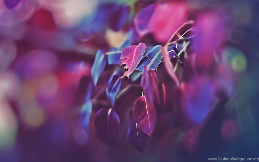 Autumn Decorations Hd Wallpapers 20 Hd Wallpapers