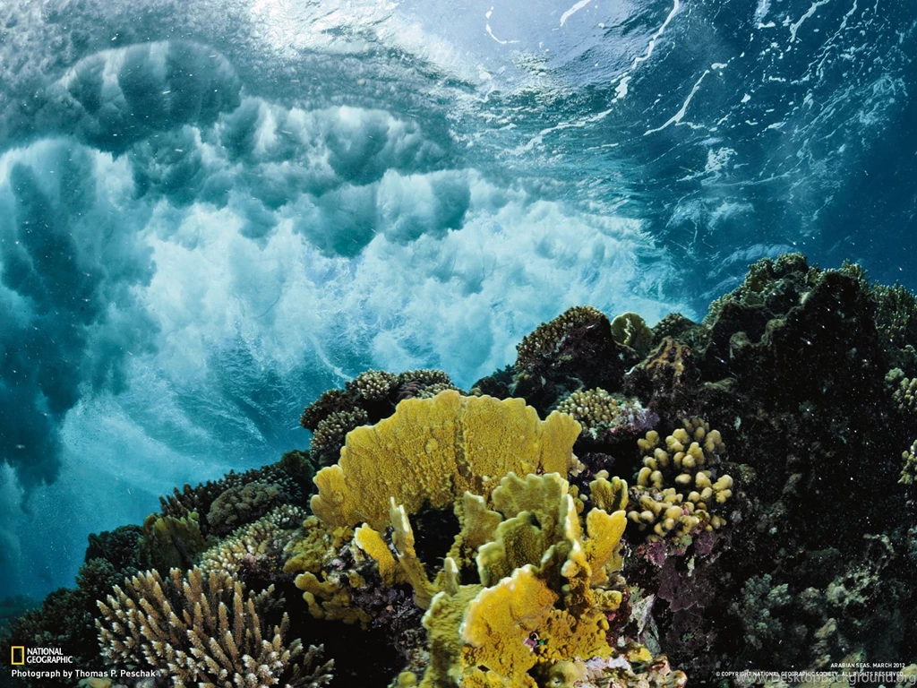 Photography Desktop Wallpapers National Geographic Magazine