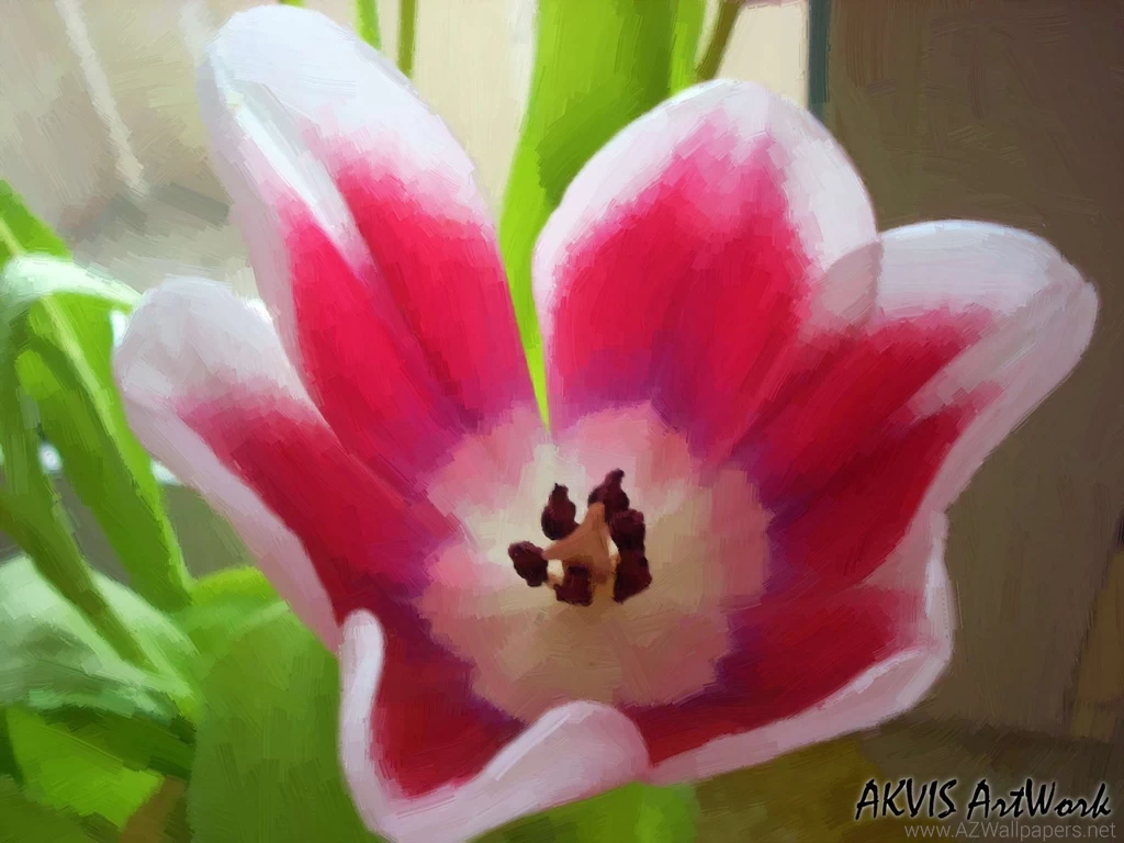 Beautiful Flowers In The World Wallpapers Photo Uncalke.com