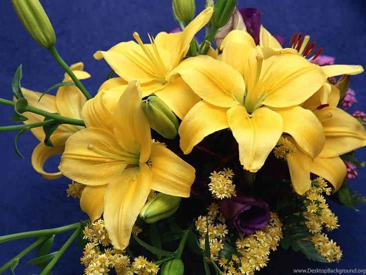 World's Most Beautiful Flowers