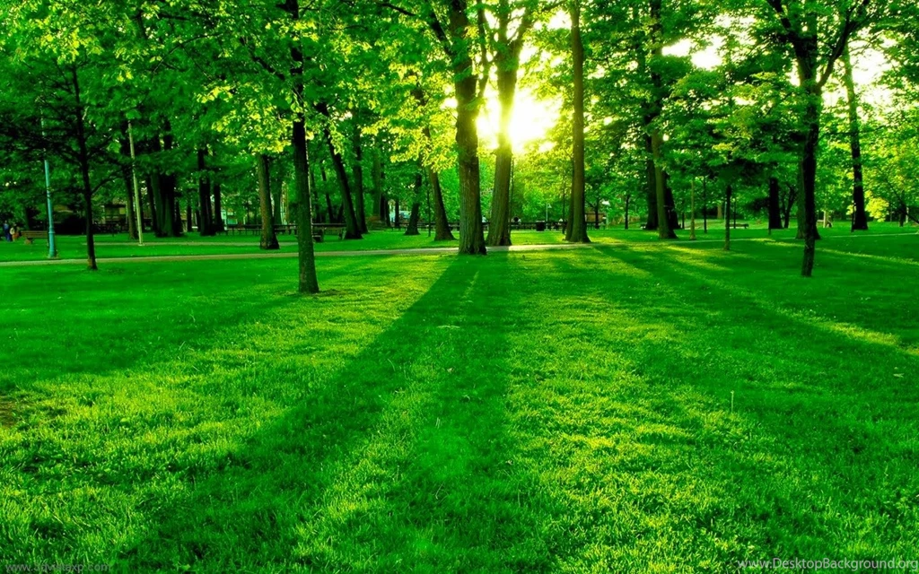 Wallpapers Fre: Beautiful Wallpaper Images