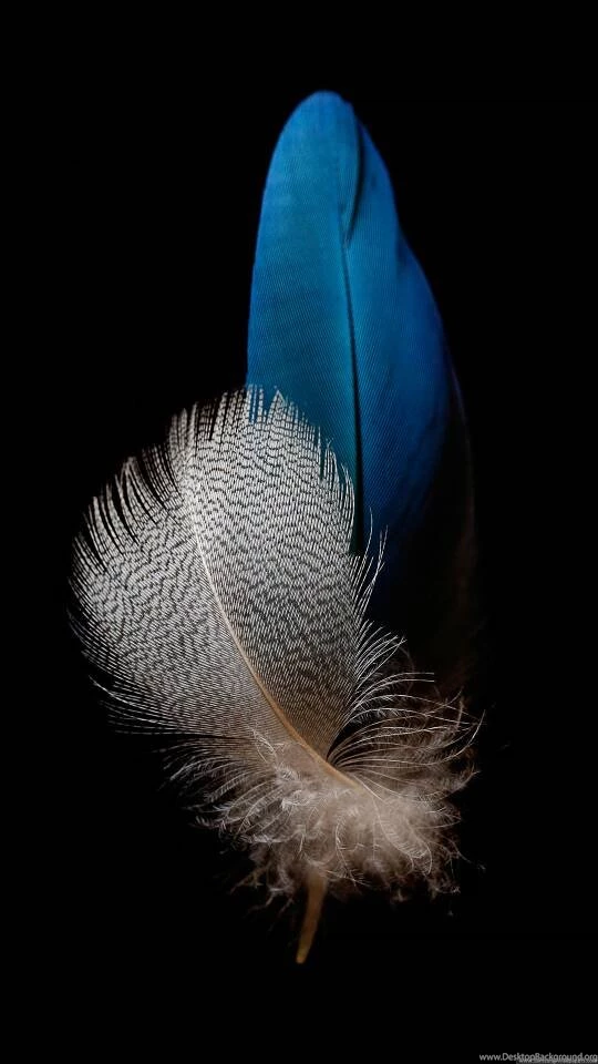 HD And Stock Wallpapers , Best Quality Pg. 164