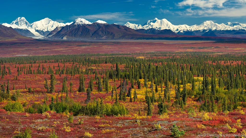 Super HD Wallpaper: The Alaska Range
