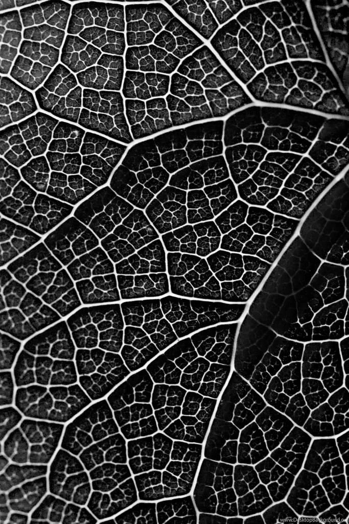 HTC One Live HD Wallpapers Download HTC One Live HD Wallpapers 1.0 ...