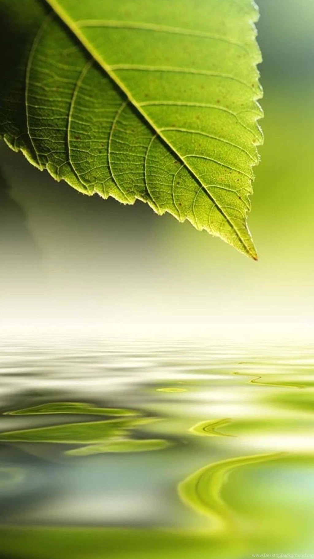 Wallpapers HTC HD Wallpapers Zone