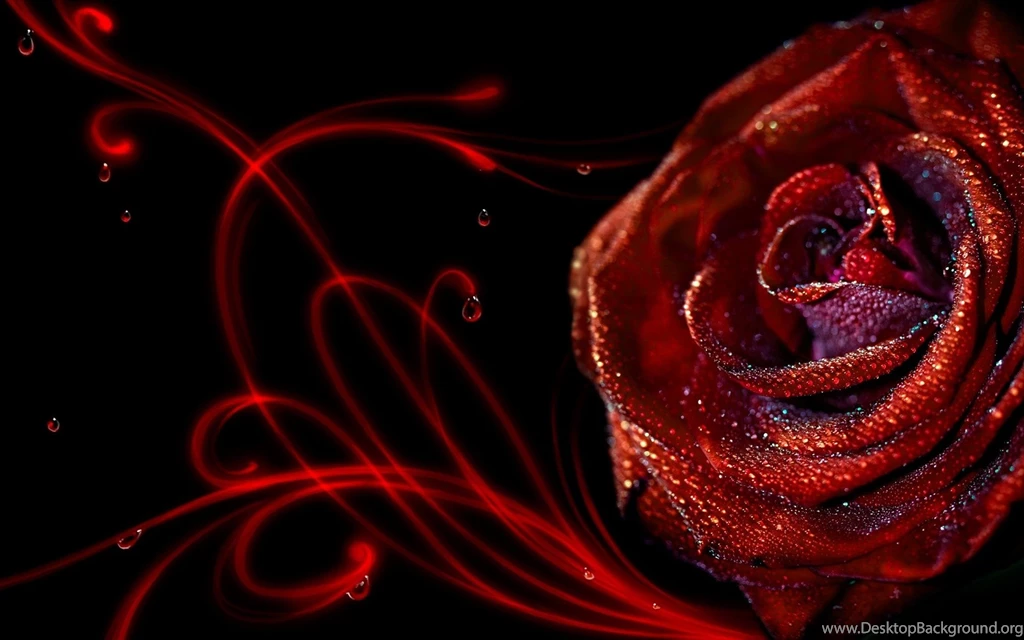8 Flower HD Wallpapers